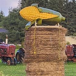 Beaudry Farm, Verner, ON opening hours