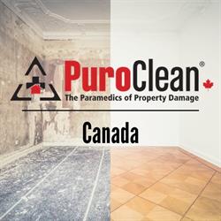 PuroClean Canada, Mississauga, ON opening hours