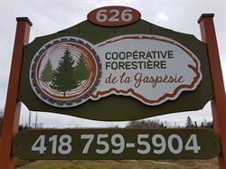 Coopérative forestière de la Gaspésie, Maria, QC opening hours