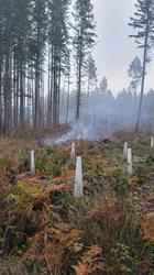 Sitka Silviculture LTD., Port Alberni, BC opening hours