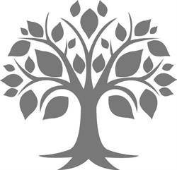 Durham Natural Health Centre, Ajax, ON opening hours