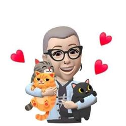 Junktiques Home Decor / The PRIDE Shop/ Everybody Boutique, Red Deer, AB opening hours