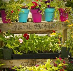 Floral Garden Creations, Bentley, AB opening hours