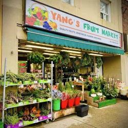 Yang's Fruit Market, Toronto, ON opening hours
