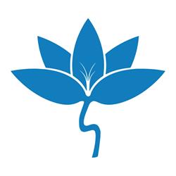 The Waterdown Clinic of Functional and Integrative Medicine, opening hours