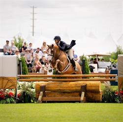 Taylor Brooks Equestrian, Ashton, ON opening hours