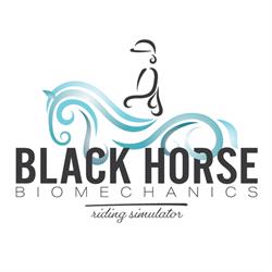 BLACK HORSE BIOMECHANICS, Palmerston, ON opening hours