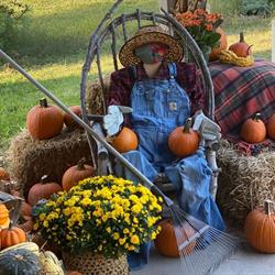 Fonthill Farms, opening hours