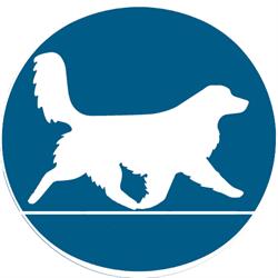 Furry Friends Pet Resort, Hampton, ON opening hours