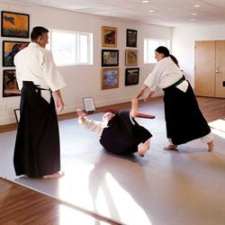 Sunshine Coast Ki Aikido, Gibsons, BC opening hours