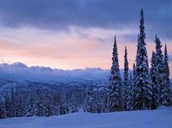 Megan Beaton Registered Massage Therapy, Revelstoke, BC opening hours