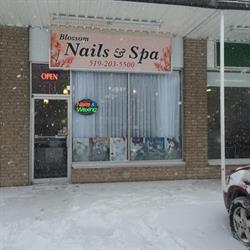 Blossom Nails Spa, London, ON opening hours