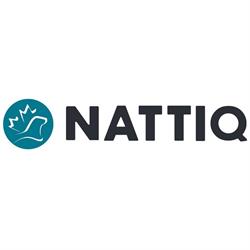 Nattiq, Ottawa, ON opening hours