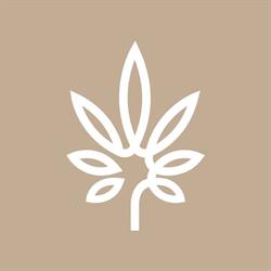 Lolly Cannabis, Caledonia, ON opening hours