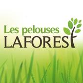 Pelouse Laforest, Jonquière, QC opening hours