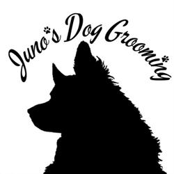 Juno's Dog Grooming, North York, ON opening hours
