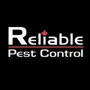 Reliable Pest Control Alliston, opening hours
