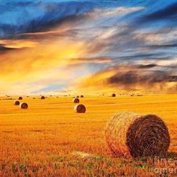 Parkland Seed Labs, Melville, SK opening hours