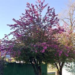 Kettleside RV Park, Grand Forks, BC opening hours