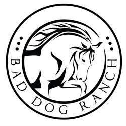 Bad Dog Ranch Saddles, Kamloops, BC opening hours
