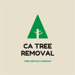 CA Tree Removal of Newmarket, opening hours
