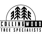 Collingwood Tree Specialists, opening hours