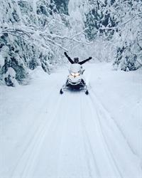 White N Wild Snowmobile Tours, Golden, BC opening hours