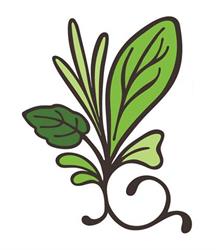 Slegers Living Organic Greens, Strathroy, ON opening hours
