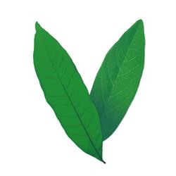 Verdure Wellness Clinic, Waterloo, ON opening hours