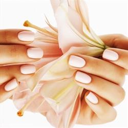 TL Nails and Spa, Belleville, ON opening hours