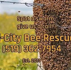 Tri-City Bee Rescue, Guelph, ON opening hours