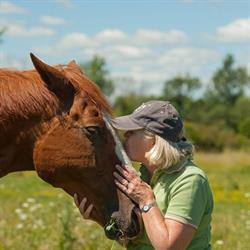 Corner Stone Farm Equestrian Centre, Kingston, ON opening hours