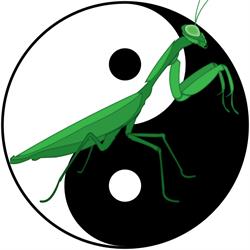 Ting Shen Kung Fu, London, ON opening hours