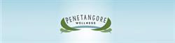 Penetangore Wellness, Kincardine, ON opening hours