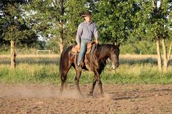 Michie Quarter Horses, Sidney, MB opening hours