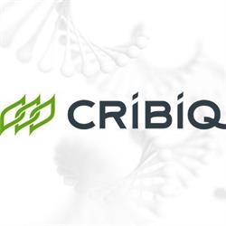 CRIBIQ - Consortium de recherche et innovations en bioprocédés industriels au Québec, opening hours