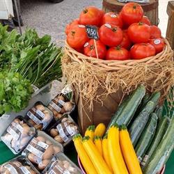 Wilmot Summer Market, Baden, ON opening hours