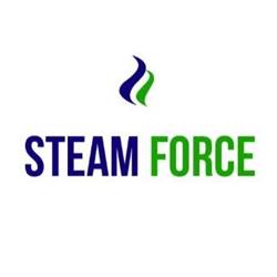 Steam Force Ltd, London, ON opening hours