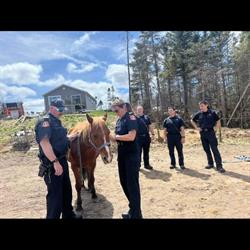 Flar Equine Experience, Hubley, NS opening hours