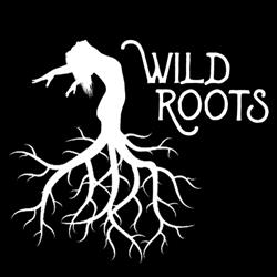 Wild Roots Dance & Yoga, Victoria, BC opening hours