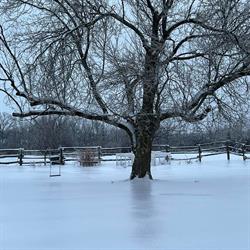 Cedar Patch Farms, Corbyville, ON opening hours