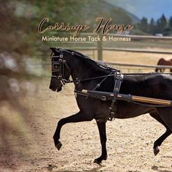 Carriage House Miniature Horse Tack & Harness, Chilliwack, BC opening hours
