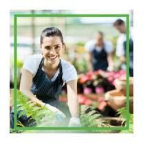 Xcel Landscaping, Lawrencetown, NS opening hours