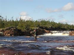 Canadian Northern Outfitters, St. John's, NL opening hours