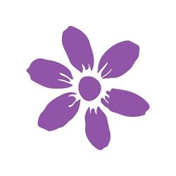 Momentum Autism Services, Hamilton, ON opening hours
