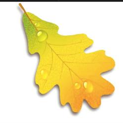 Golden Oak Care, Toronto, ON opening hours