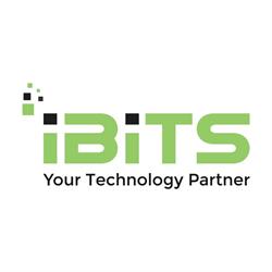 IBITS - IT Support for Your Business, Regina, SK opening hours