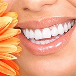 East Vancouver Denture Clinic, opening hours