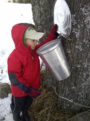 Sugarstone Farm-Maple Syrup, Trout Creek, ON opening hours
