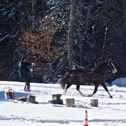 Ski Joering Stukely-Sud, opening hours